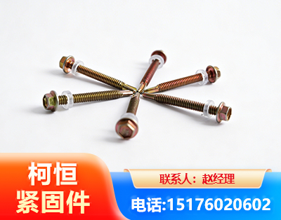 商洛六角钻尾丝